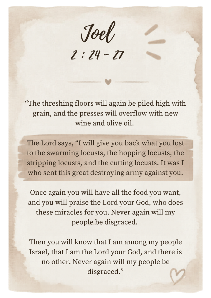 “The threshing floors will again be piled high with grain, and the presses will overflow with new wine and olive oil. 

The Lord says, “I will give you back what you lost to the swarming locusts, the hopping locusts, the stripping locusts, and the cutting locusts. It was I who sent this great destroying army against you.

Once again you will have all the food you want, and you will praise the Lord your God, who does these miracles for you. Never again will my people be disgraced. 

Then you will know that I am among my people Israel, that I am the Lord your God, and there is no other. Never again will my people be disgraced.”